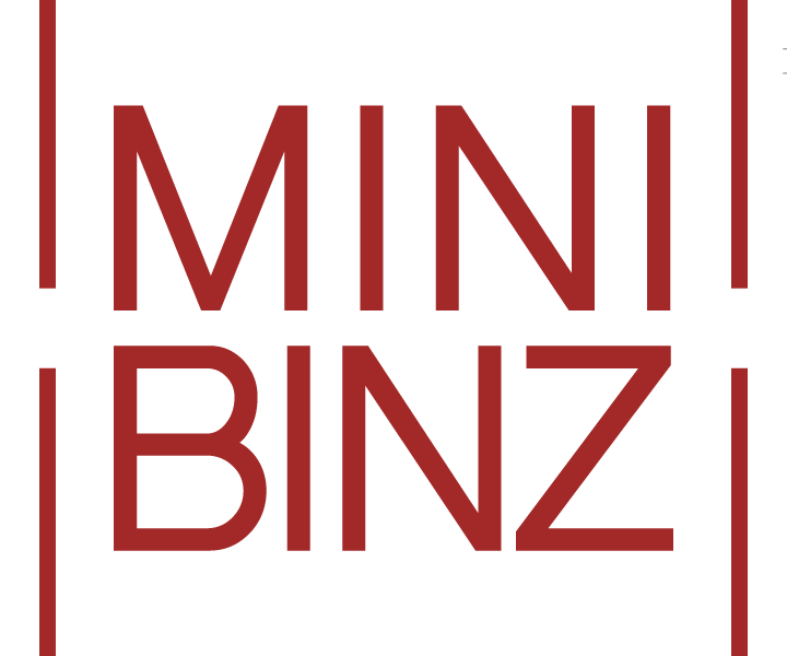 Mini Binz